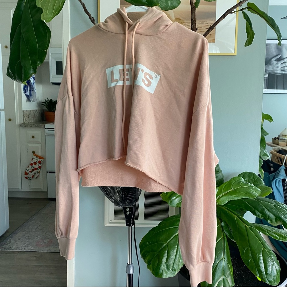 Levi’s Cropped Hoodie